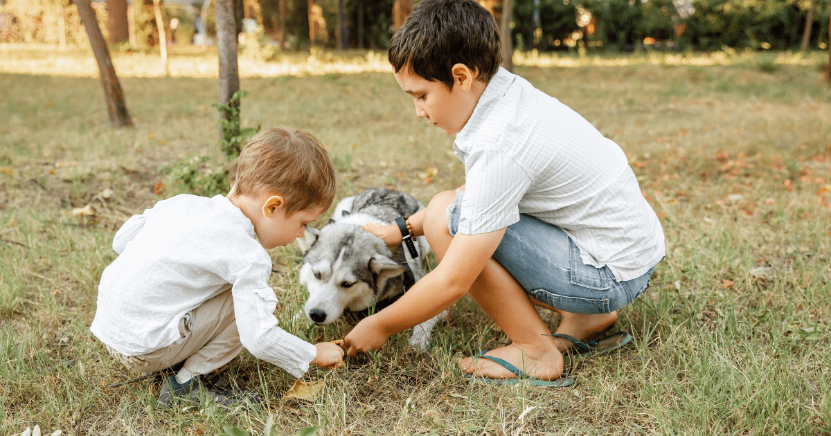 The Top 10 Dog Breeds for Kids and Families with Energy to Spare