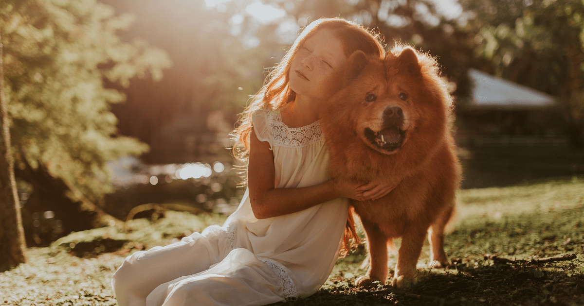 Calm and Gentle Dog Breeds for Kids and Families Who Enjoy Quiet Time