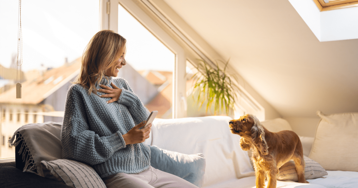 Creating a Calm Environment: How to Stop Dog from Barking at Home