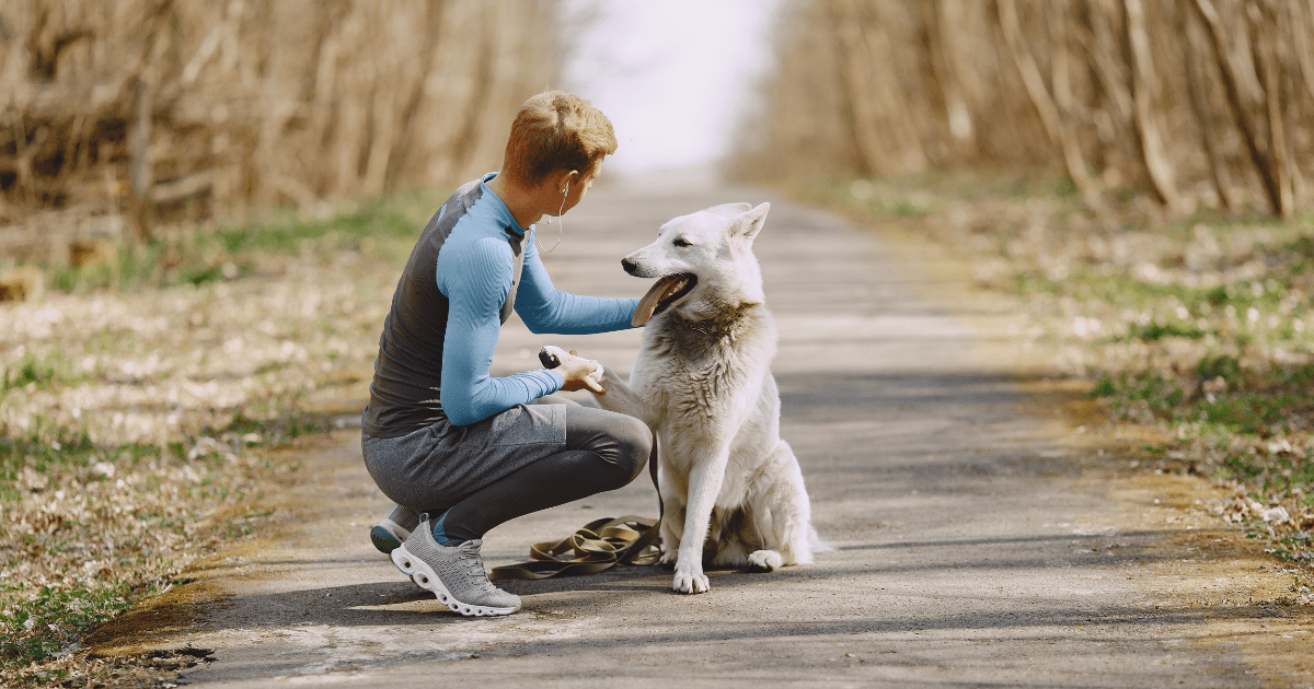  Why Senior Dog Care Tips Are Essential for a Happy, Healthy Pup