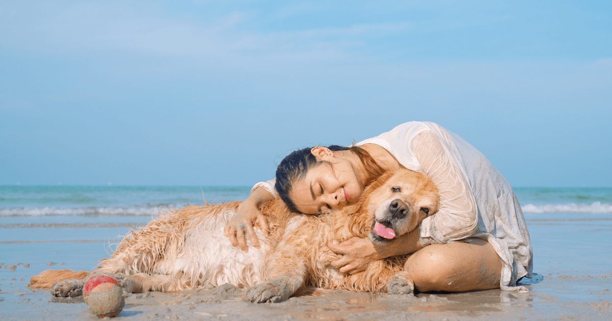 Discover the Magic of Pet-Friendly Vacation Spots for the Whole Family