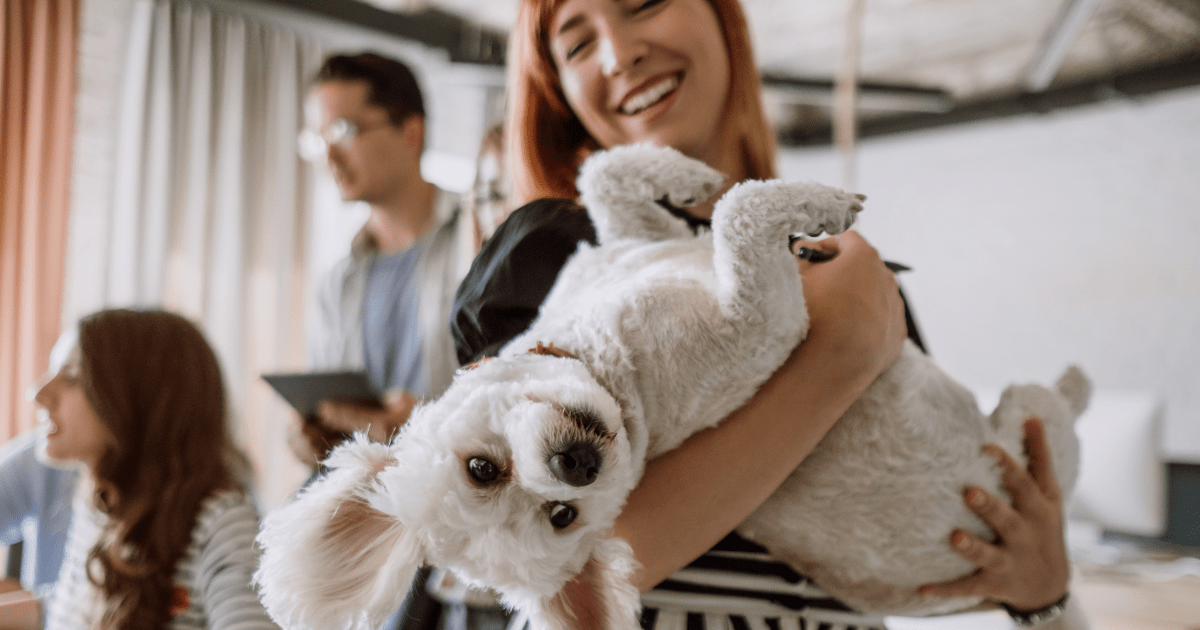 How to Choose the Best Pet-Friendly Vacation Spots for Your Family