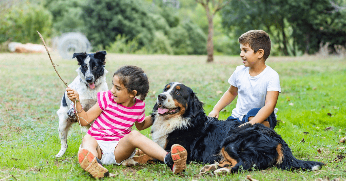 Beach Bliss: Pet-Friendly Vacation Spots Where Kids and Dogs Can Play Together