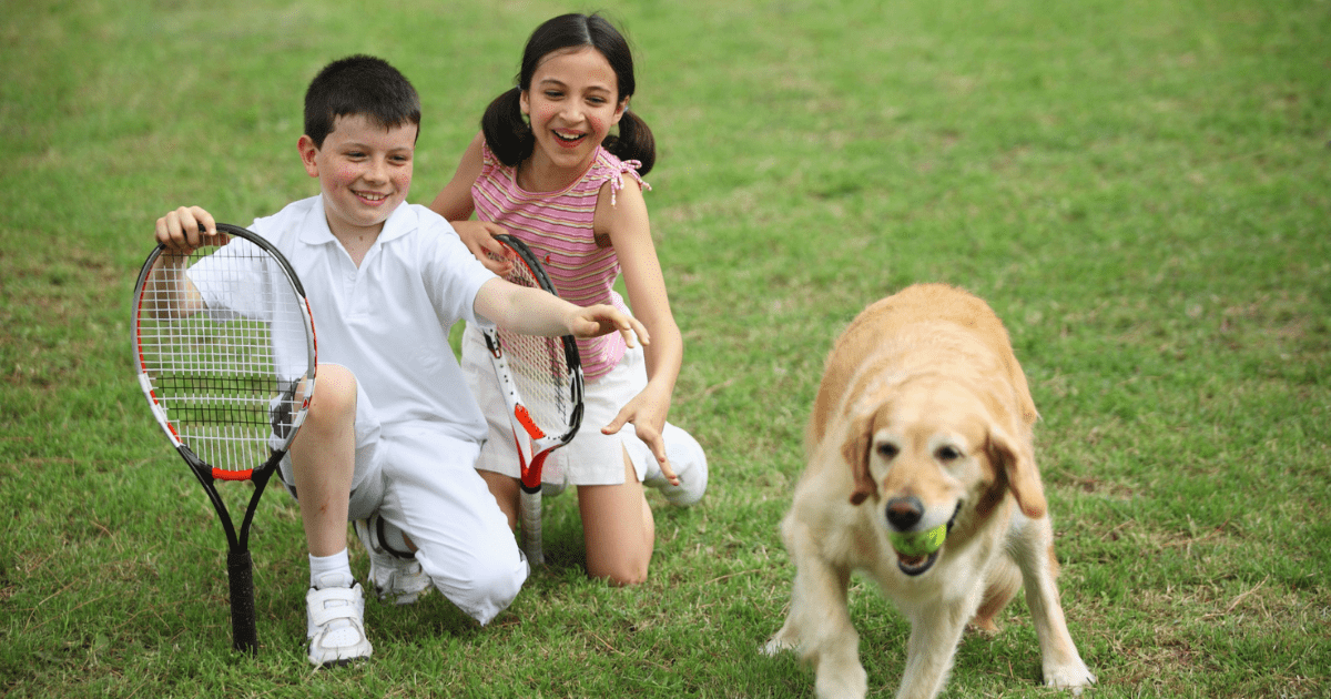 Unleash the Fun: Pet-Friendly Vacation Spots with Kid-Friendly Activities