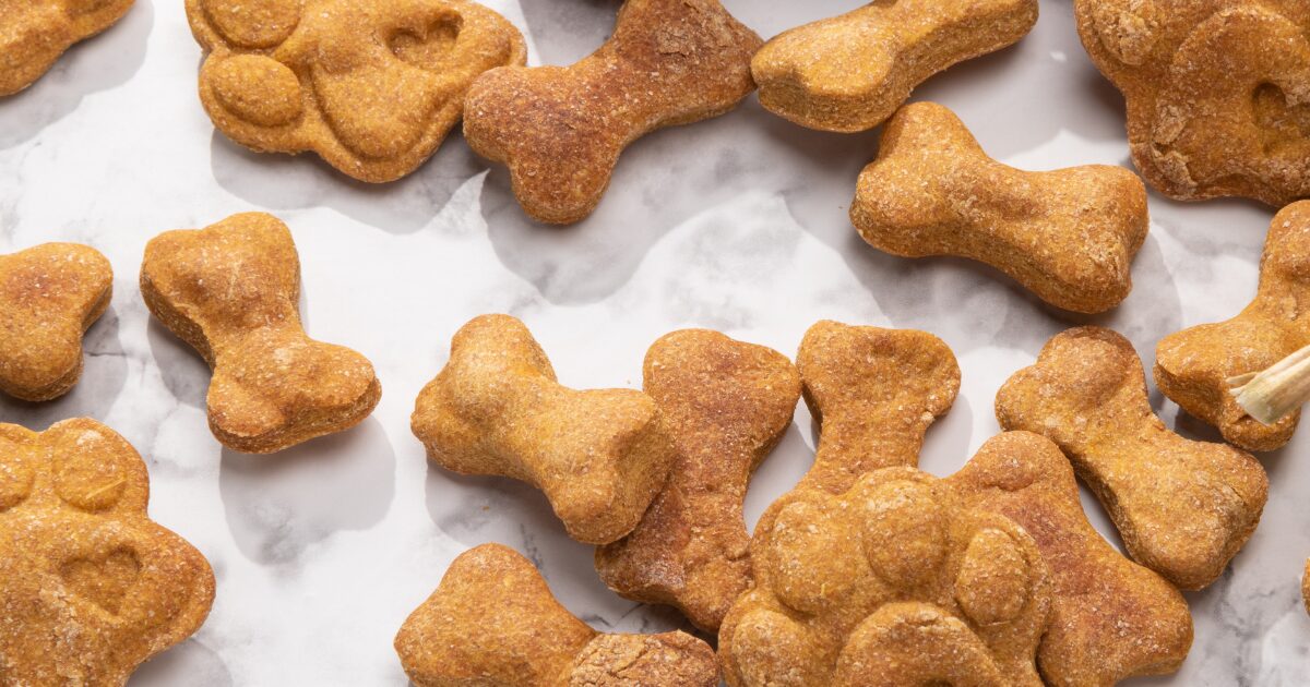 Peanut Butter & Pumpkin Bliss: A Healthy Homemade Dog Treat Recipe Your Pup Will Devour