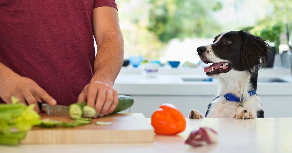 Healthy Homemade Dog Treats with Veggies: Delicious Recipes Your Dog Won’t Resist