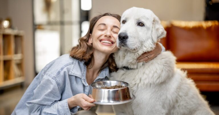 The Best Dog Food for Sensitive Stomachs: 7 Vet-Approved Options for a Healthier, Happier Dog