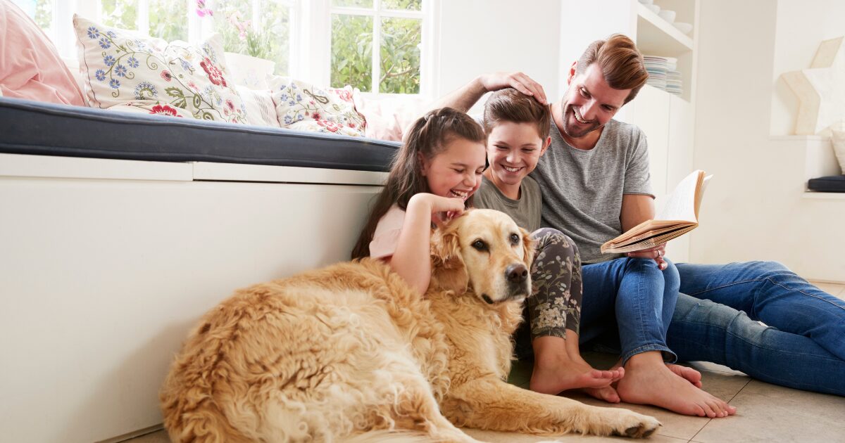 Why the Best Pet Cameras of 2025 Are a Must-Have for Pet Parents on the Go