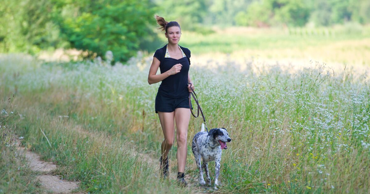 Advanced Leash Walking Training for Dogs: Overcoming Common Setbacks and Stubborn Pullers