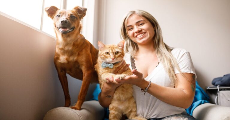 7 Simple Steps for Introducing a New Pet to Your Home Without the Stress