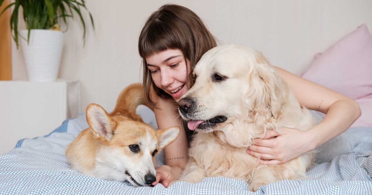 Introducing a New Pet to Your Home and Existing Pets: The Secret to a Peaceful Coexistence