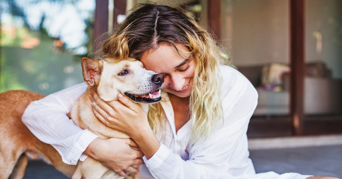 4. Emotional Well-being: Why Pet Sitting Trumps Pet Boarding for Senior Pets’ Happiness