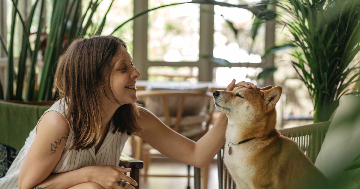 Pet Sitting vs Pet Boarding: The Top 5 Reasons Senior Pets Need Personalized Care