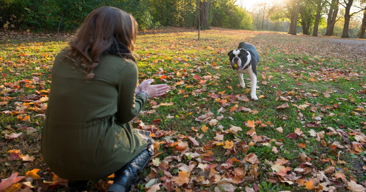 Tip #5: Keep the Fun Going: How to Make Dog Obedience Training at Home Enjoyable for Both You and Your Pup