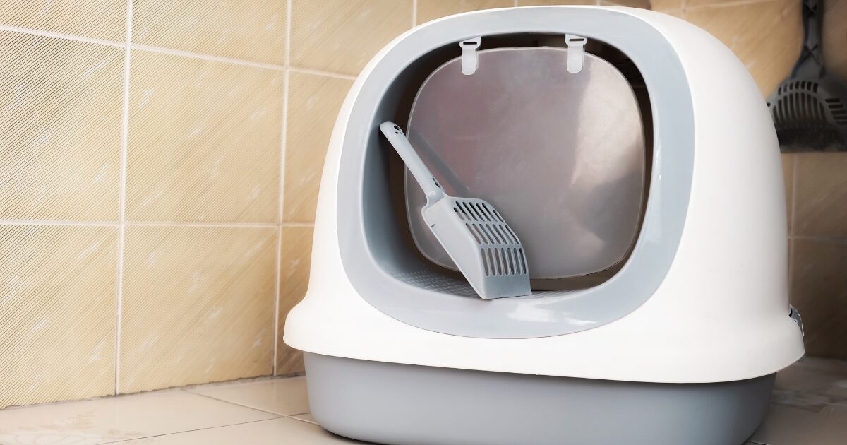 Why High-Tech is the Future: The Best Litter Box for Multiple Cats