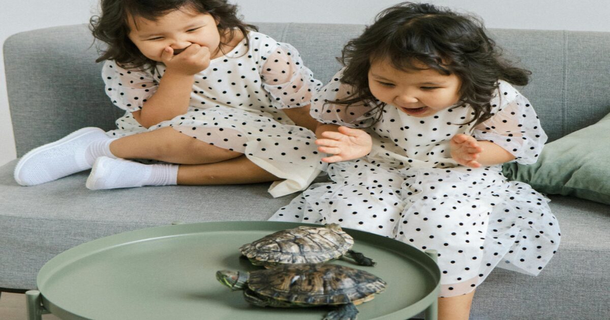 Top 10 Best Family Pets That Are Perfect for Young Kids