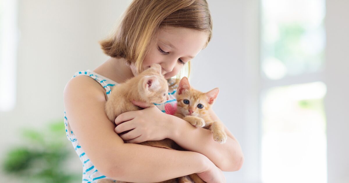 How to Select the Right Pet: Finding the Best Family Pets for Your Lifestyle