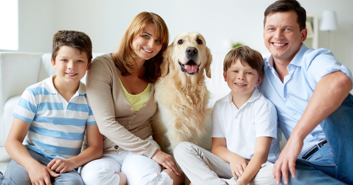 Top 10 Best Family Pets That Are Perfect for Young Kids – Let the Fun Begin