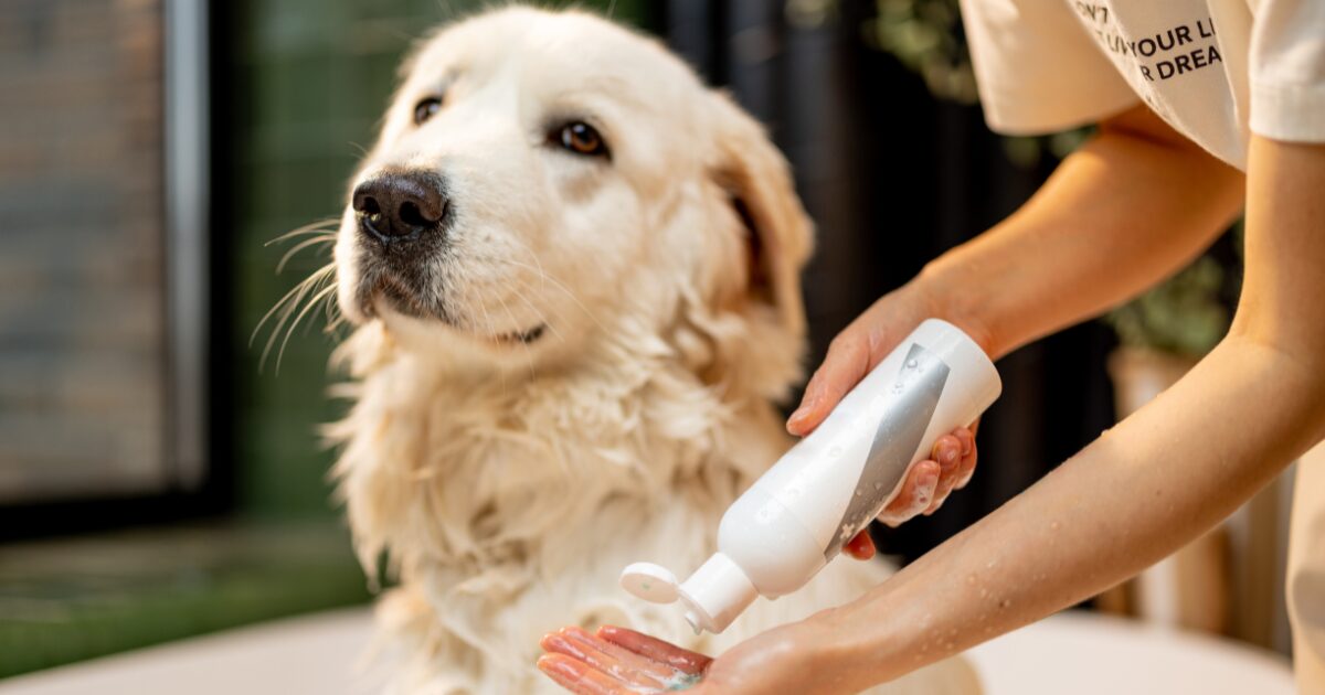 How to Choose the Right Ingredients for Your Homemade Dog Shampoo