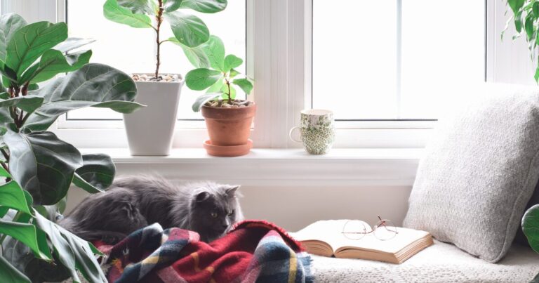 Safe Plants, Happy Pets: 7 Non-Toxic Houseplants for Pets That Every Dog and Cat Owner Needs