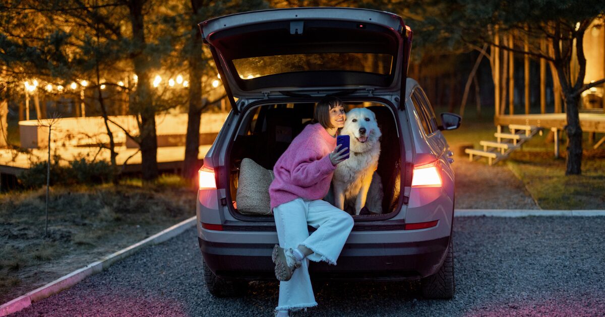 8 Life-Saving Pet Travel Safety Tips You Need for Road Trips and Adventures