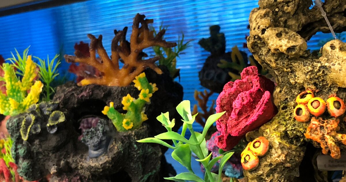 1. Why DIY Aquarium Decorations Are the Best Way to Personalize Your Tank