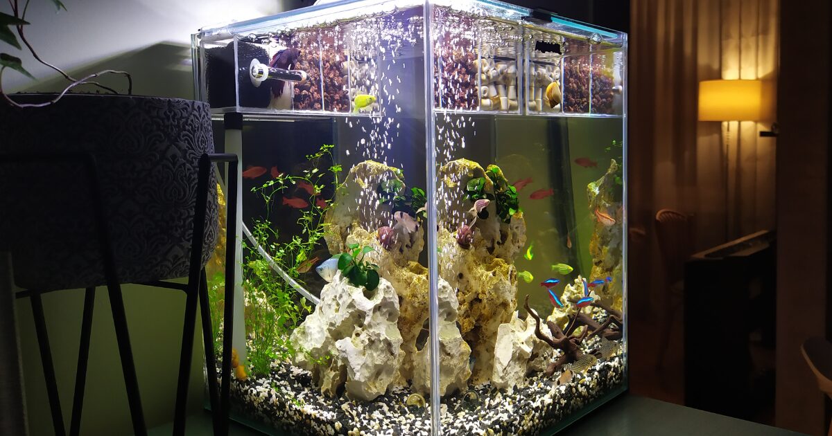 9. Adding Color to Your Tank: DIY Aquarium Decorations with Vibrant Artificial Plants